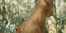 Image 497955