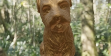 Image 497957