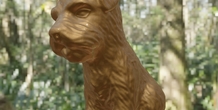 Image 497958