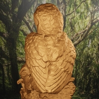 Owl  - Thumbnail 4