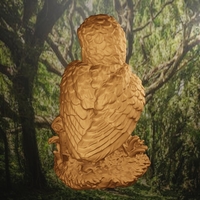 Owl  - Thumbnail 10