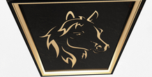 Image 498094