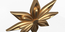 Image 498483