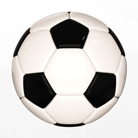 Small Soccer Ball Black White 3D Printing 498692