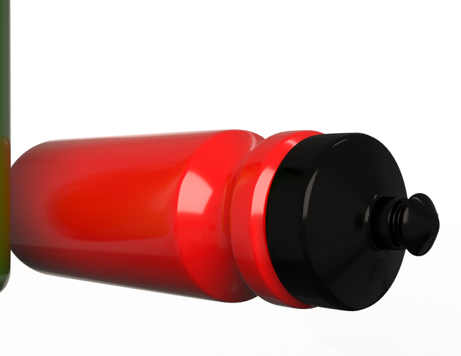 Sport Water Bottle 3D Print 498755