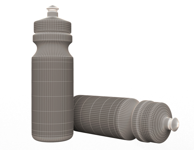 Sport Water Bottle 3D Print 498757