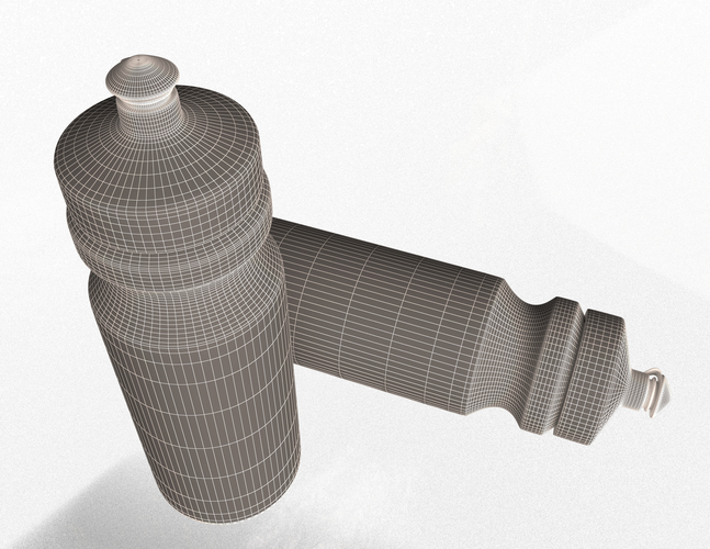 Sport Water Bottle 3D Print 498758