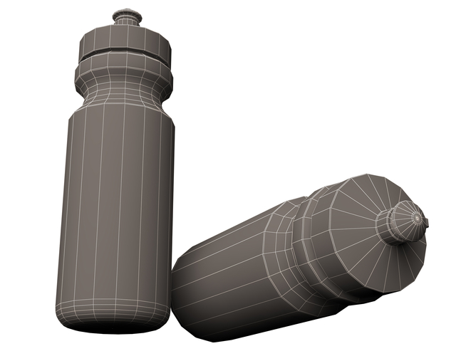 Sport Water Bottle 3D Print 498763