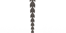 Image 498887