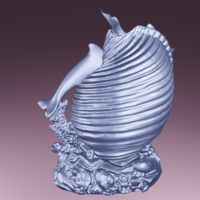 Dauphin coquillage  - Thumbnail 5
