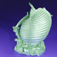 Dauphin coquillage  - Thumbnail 12