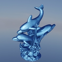 Dauphin algue  - Thumbnail 1