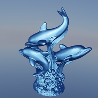 Dauphin algue  - Thumbnail 2