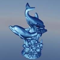 Dauphin algue  - Thumbnail 3