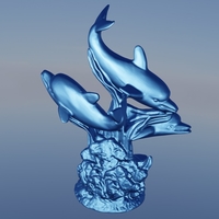 Dauphin algue  - Thumbnail 4