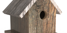 Image 499893