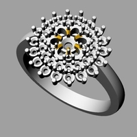 Small Floral Motif Ladies Ring 3D Printing 501301