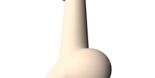Image 501391