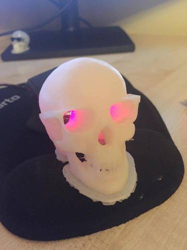 Skull in Raybans 3D Print 50151