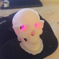 Small Skull in Raybans 3D Printing 50151