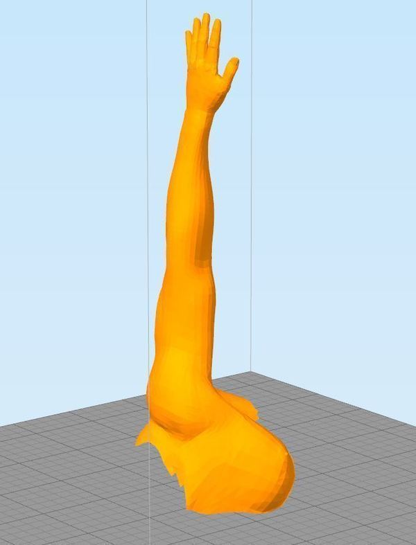 Arm for projects