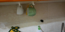 Image 502891
