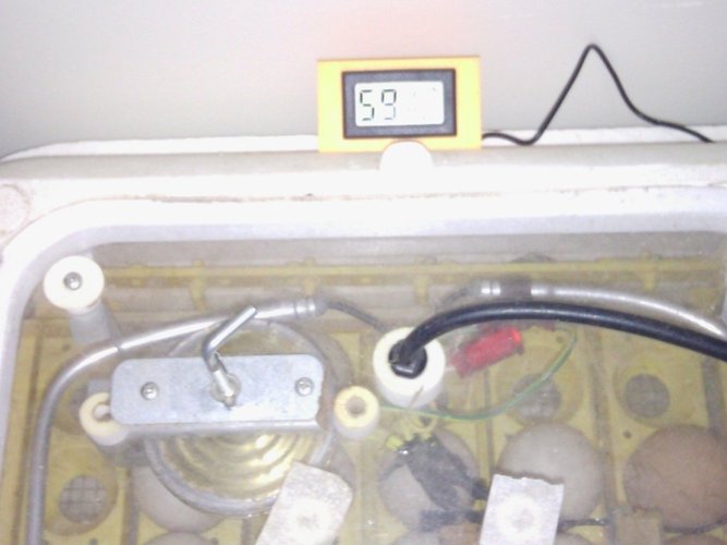 Hygrometer, thermometer mount for "Hovabator" incubator 3D Print 50347