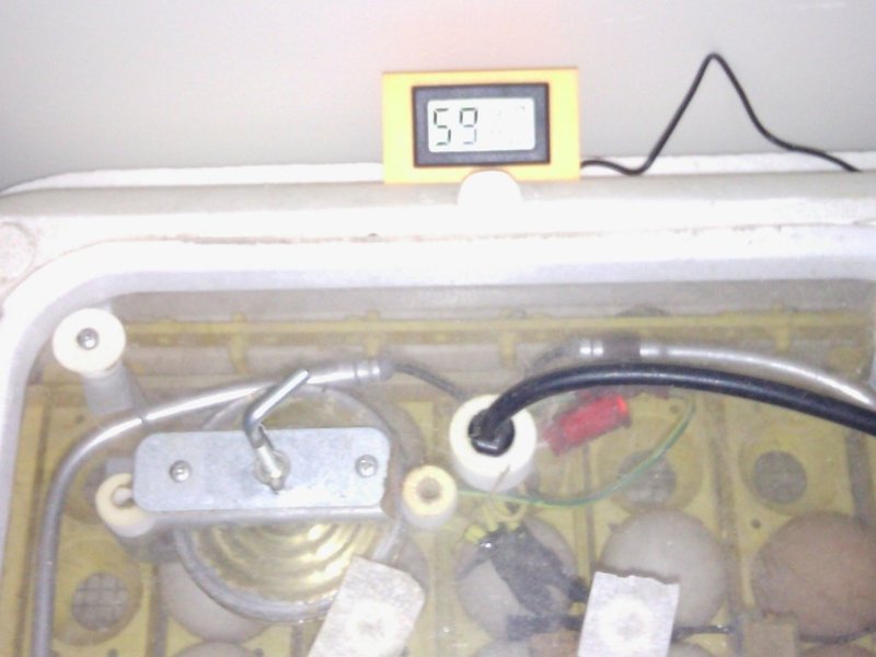 Hygrometer, thermometer mount for "Hovabator" incubator
