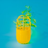 Materialize─Potted - Thumbnail 9
