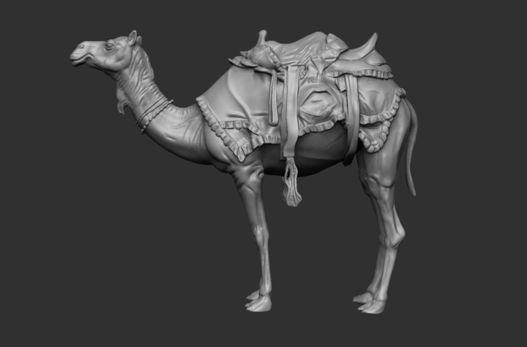 Arabian camel 3D Print 505128