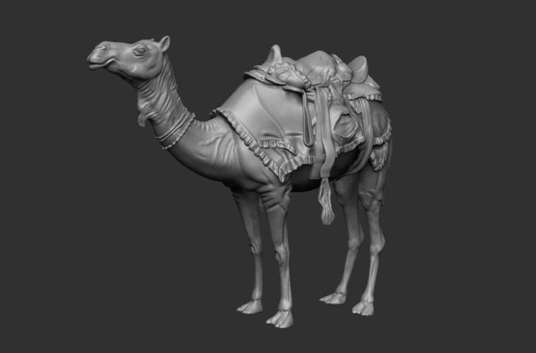 Arabian camel 3D Print 505130