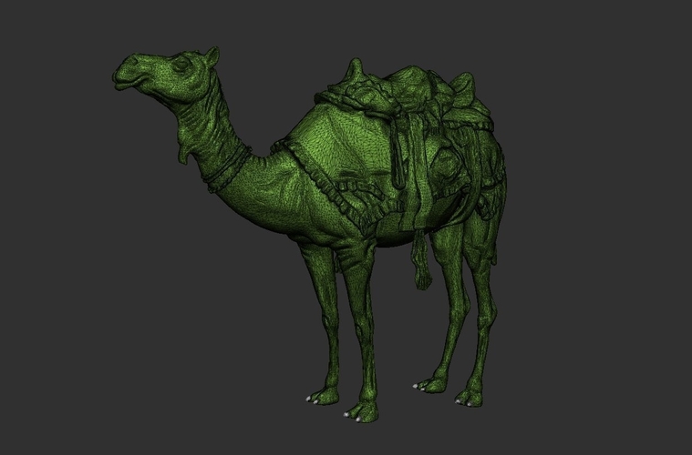 Arabian camel 3D Print 505131