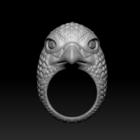 Falcon ring - Thumbnail 1