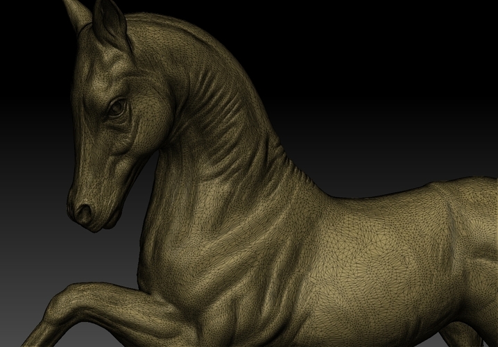 Arabian Horse 3D Print 505141