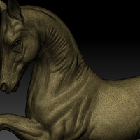 Arabian Horse - Thumbnail 1