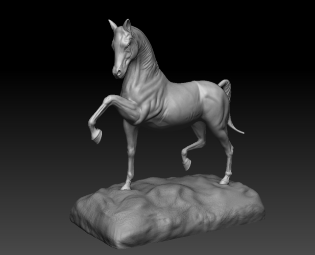 Arabian Horse 3D Print 505142