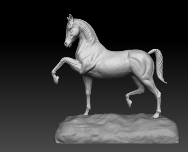 Arabian Horse 3D Print 505143