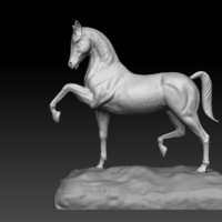 Arabian Horse - Thumbnail 3