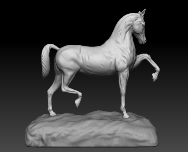 Arabian Horse 3D Print 505144