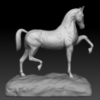 Arabian Horse - Thumbnail 4