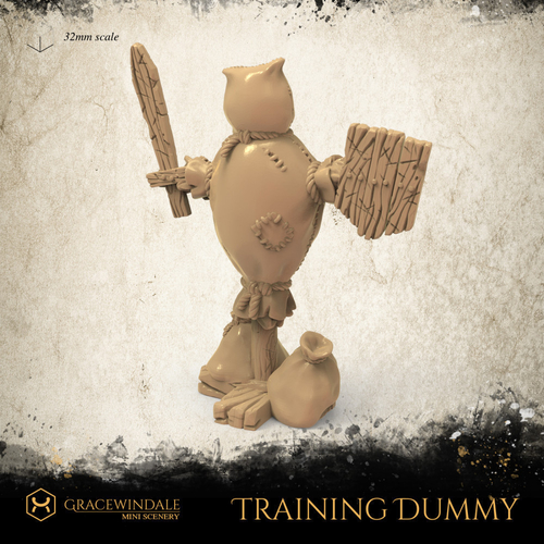 Training Dummy 3D Print 505759