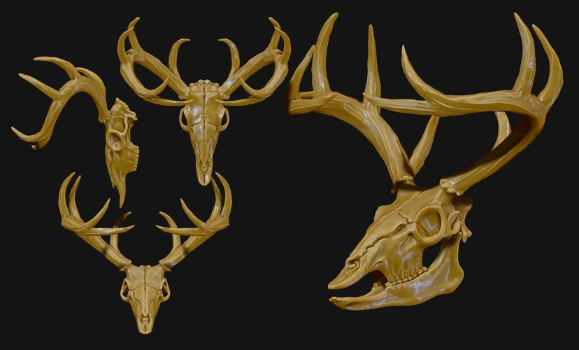 Deer Skull - CNC and 3D print model 3D Print 507256