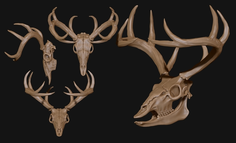 Deer Skull - CNC and 3D print model 3D Print 507257