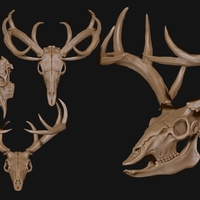 Deer Skull - CNC and 3D print model - Thumbnail 2