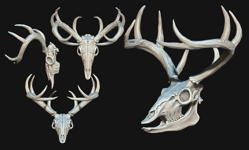 Deer Skull - CNC and 3D print model 3D Print 507258