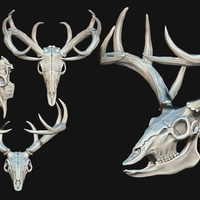 Deer Skull - CNC and 3D print model - Thumbnail 3