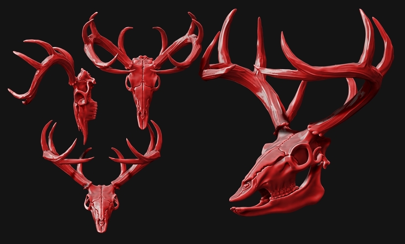 Deer Skull - CNC and 3D print model 3D Print 507260