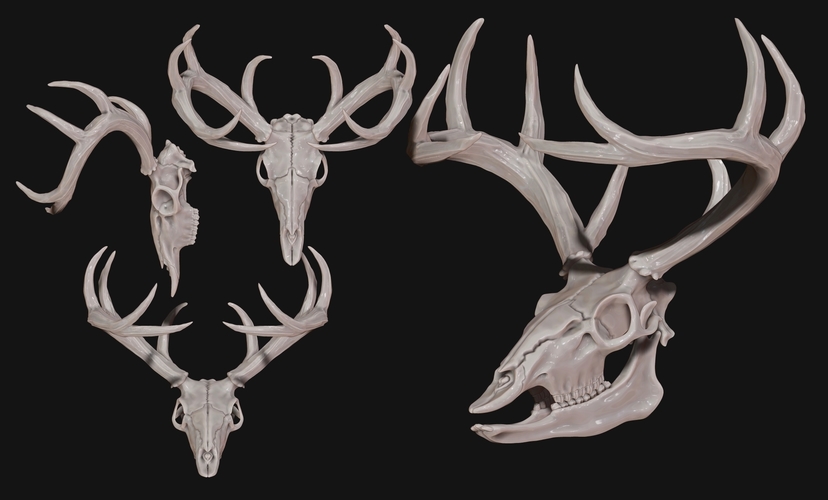 Deer Skull - CNC and 3D print model 3D Print 507261