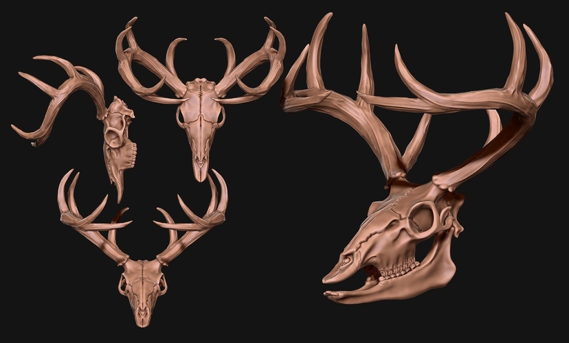 Deer Skull - CNC and 3D print model 3D Print 507262