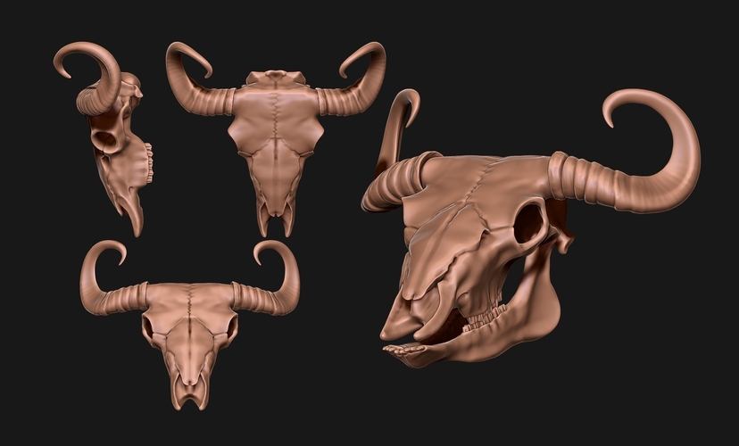 Bison Skull  3D Print 507334